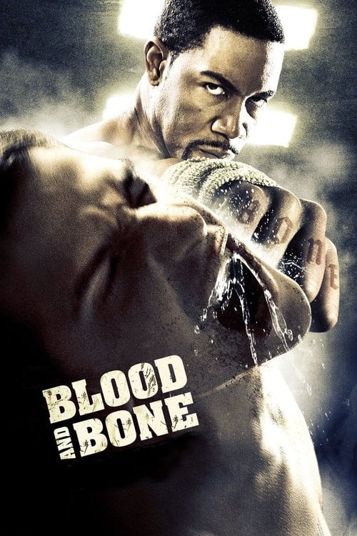 Постер Кров та кістка (2009)