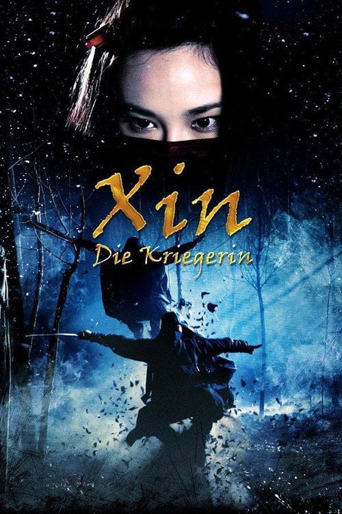 Постер 追影 (2009)