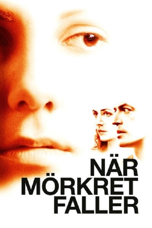 Постер När mörkret faller (2006)
