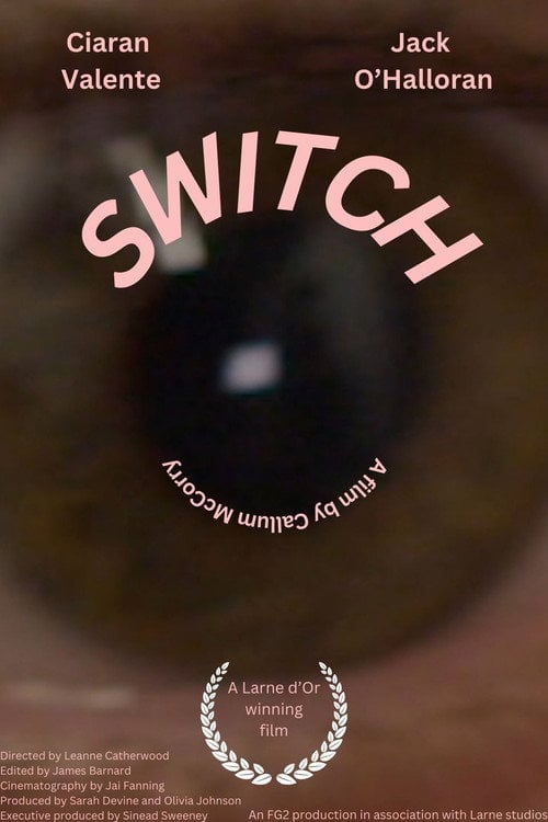 Постер Switch (2024)