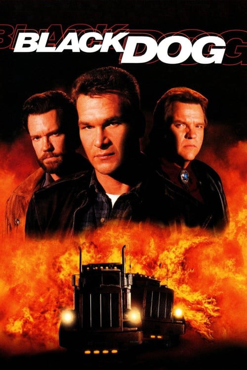 Постер Чорний пес (1998)