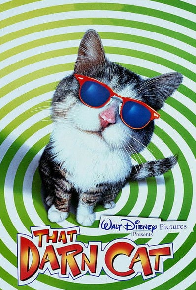 Постер That Darn Cat (1997)