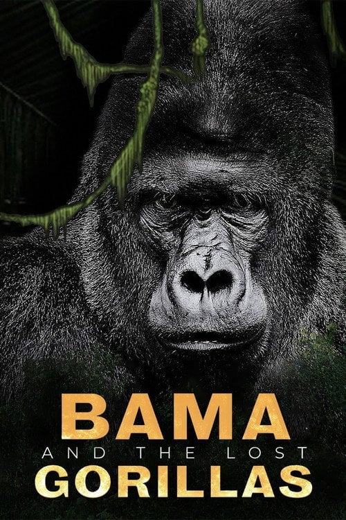 Постер Bama, der Gorillamann - Abenteuer in Kamerun (2011)