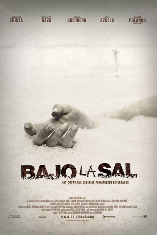 Постер Bajo la Sal (2008)