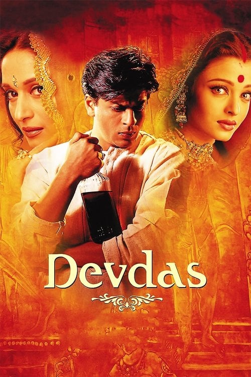 Постер देवदास (2002)
