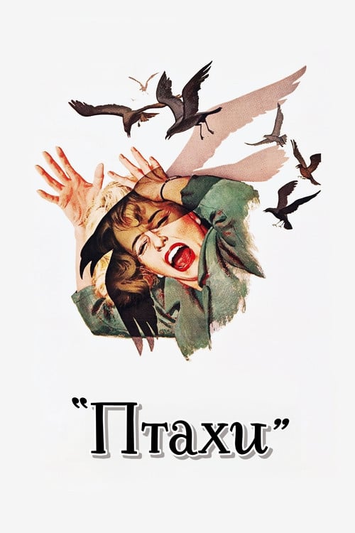 Постер Птахи (1963)