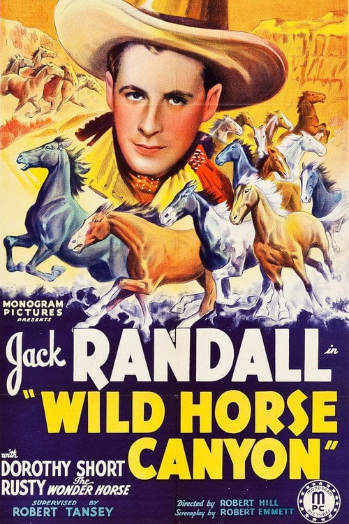 Постер Wild Horse Canyon (1938)