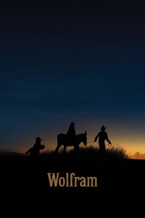 Постер Wolfram (2026)