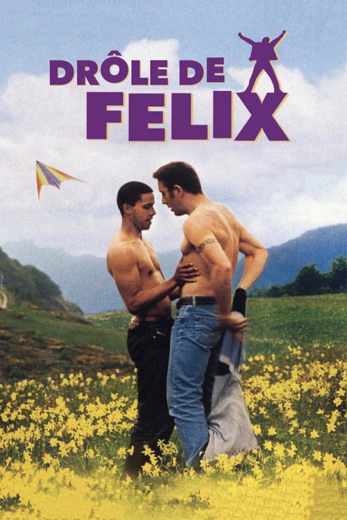 Постер Drôle de Félix (2000)