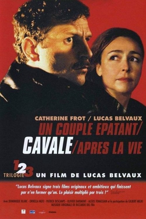 Постер Cavale (2003)
