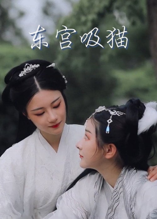 Постер 东宫吸猫 (2020)