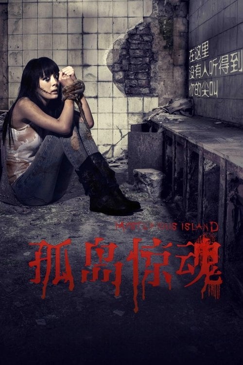 Постер 孤岛惊魂 (2011)