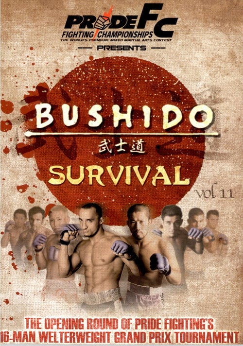 Постер Pride Bushido 11 (2006)
