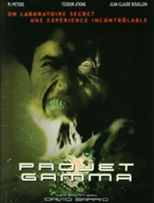 Постер Projet Gamma (2003)