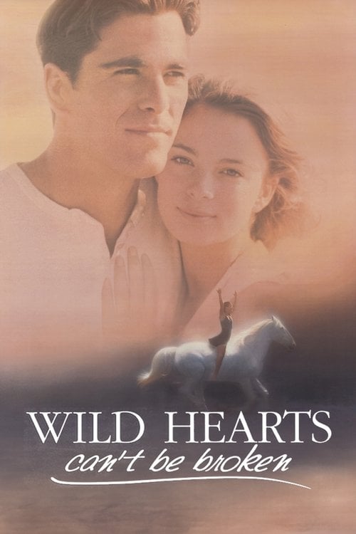 Постер Wild Hearts Can't Be Broken (1991)