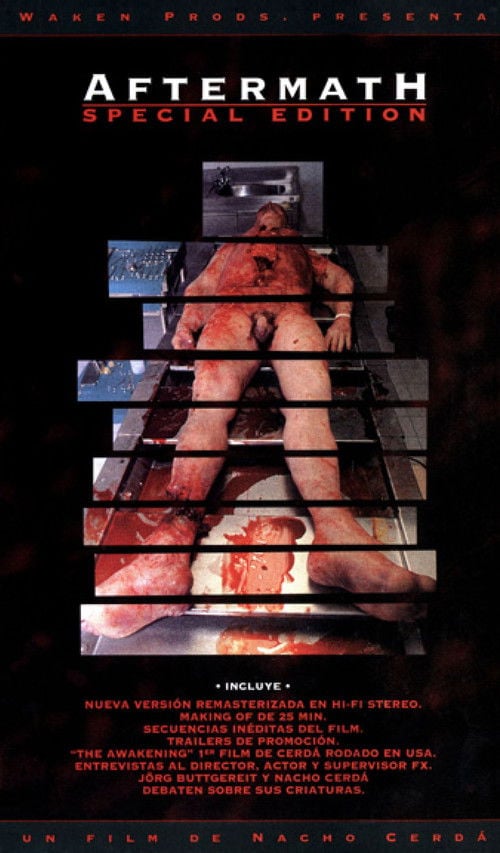 Постер Aftermath (1994)