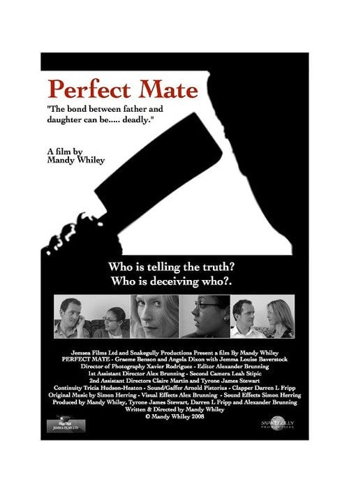 Постер Perfect Mate (2009)