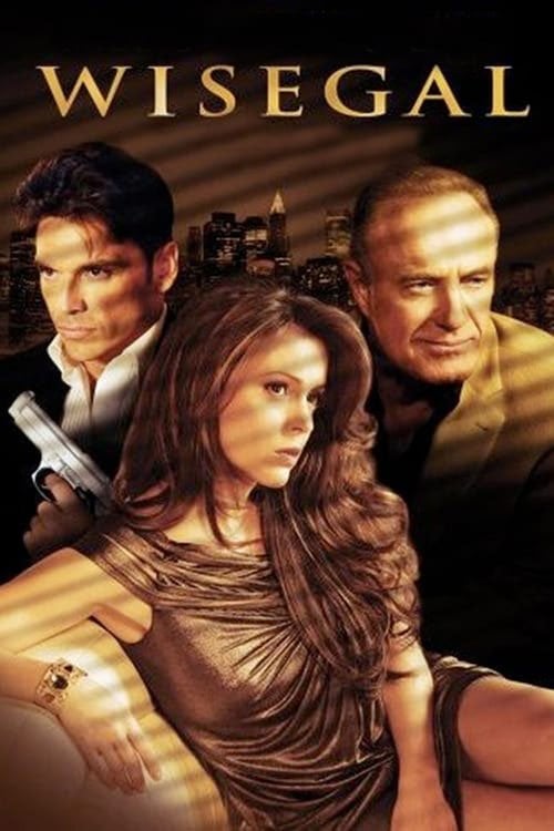 Постер Wisegal (2008)