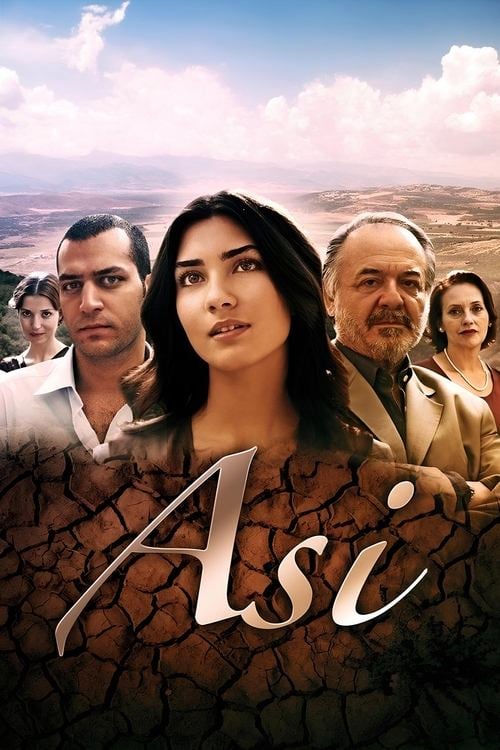 Постер Асі (2007)