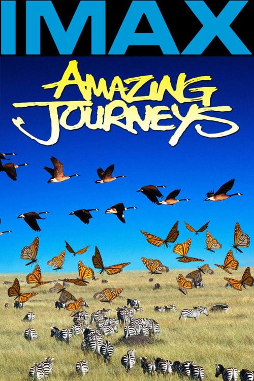 Постер Amazing Journeys (1999)