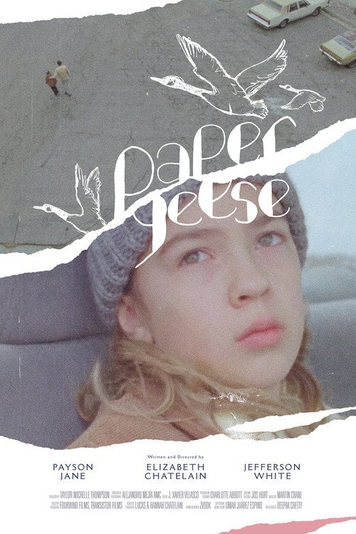 Постер Paper Geese (2021)