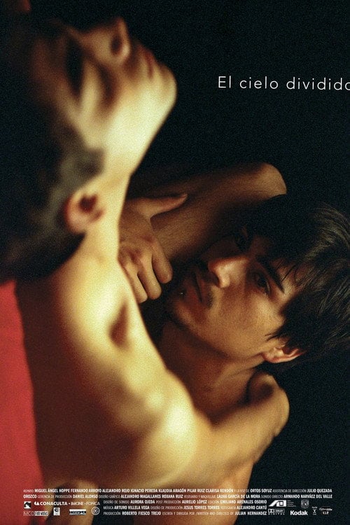 Постер El cielo dividido (2006)