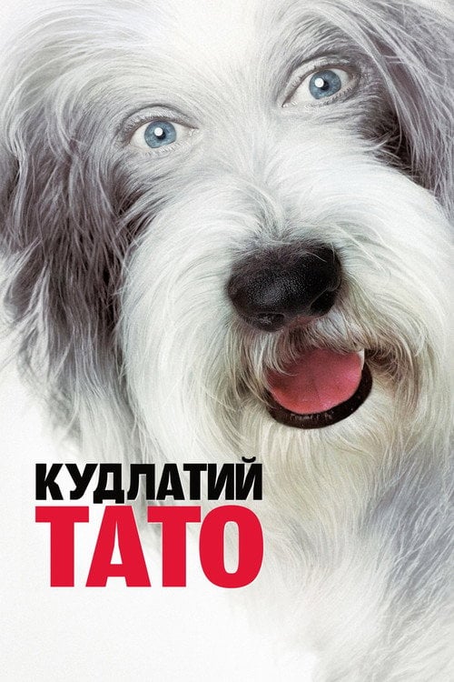 Постер Кудлатий тато (2006)