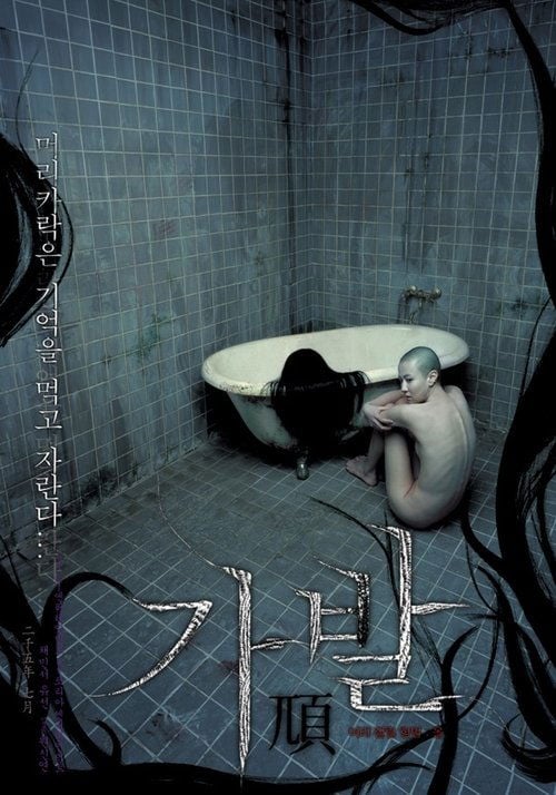 Постер 가발 (2005)