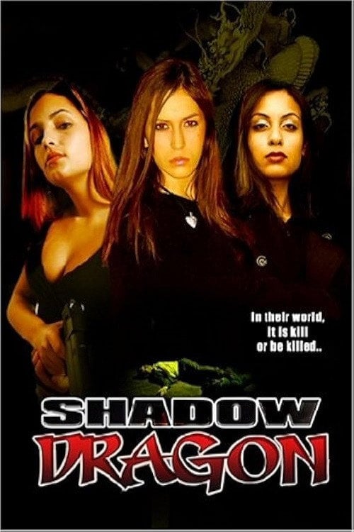Постер Shadow Dragon (2005)