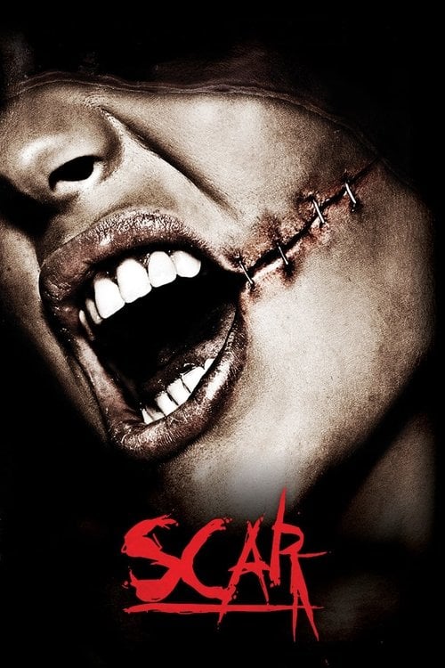 Постер Scar (2007)