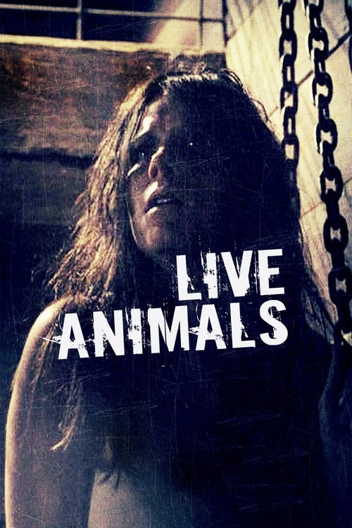 Постер Live Animals (2008)