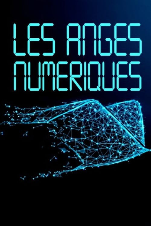 Постер Les anges numériques (2011)