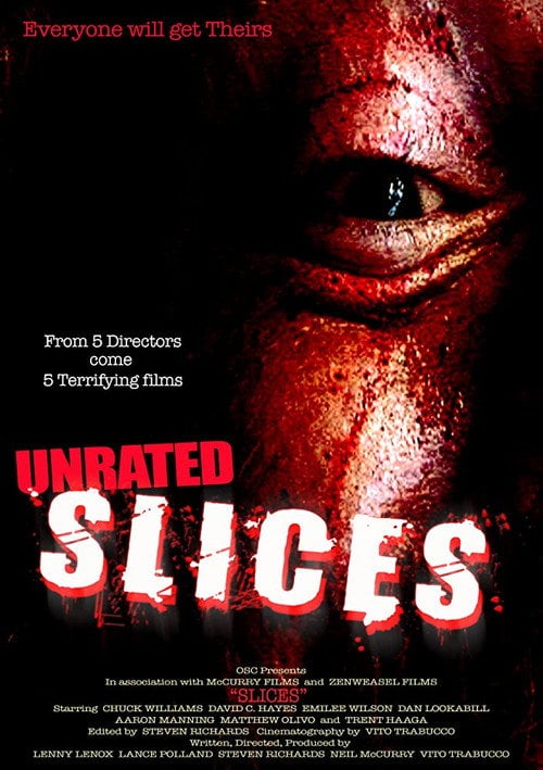 Постер Slices (2008)