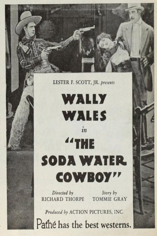 Постер The Soda Water Cowboy (1927)