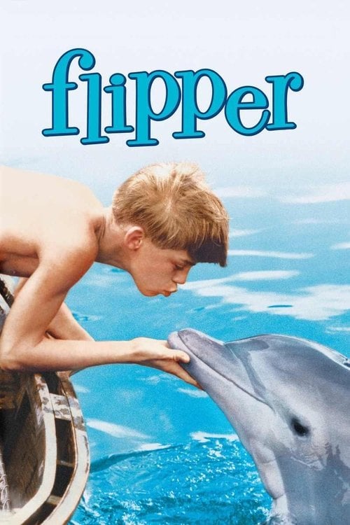 Постер Фліппер (1963)