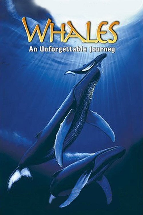 Постер Whales: An Unforgettable Journey (1997)
