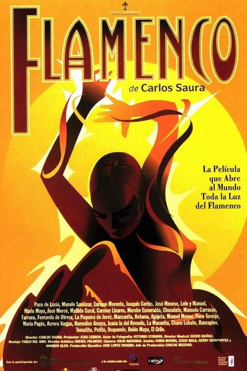 Постер Flamenco (1995)