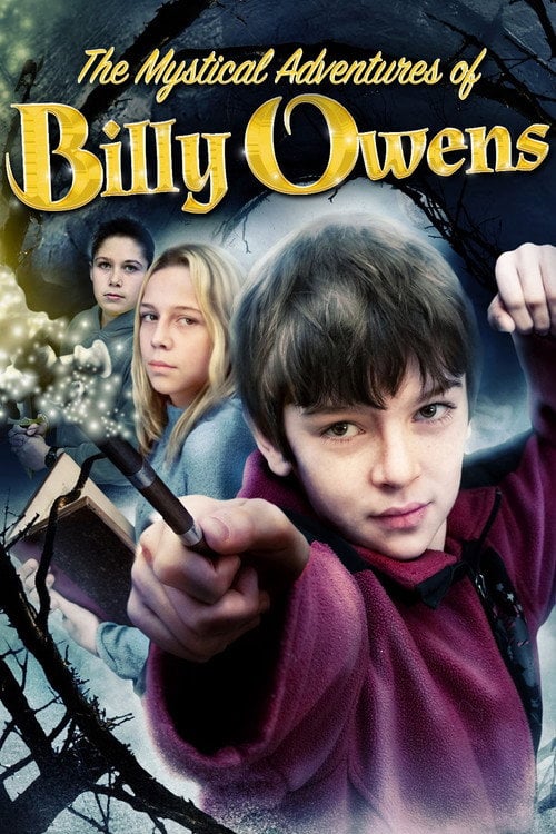 Постер The Mystical Adventures of Billy Owens (2008)