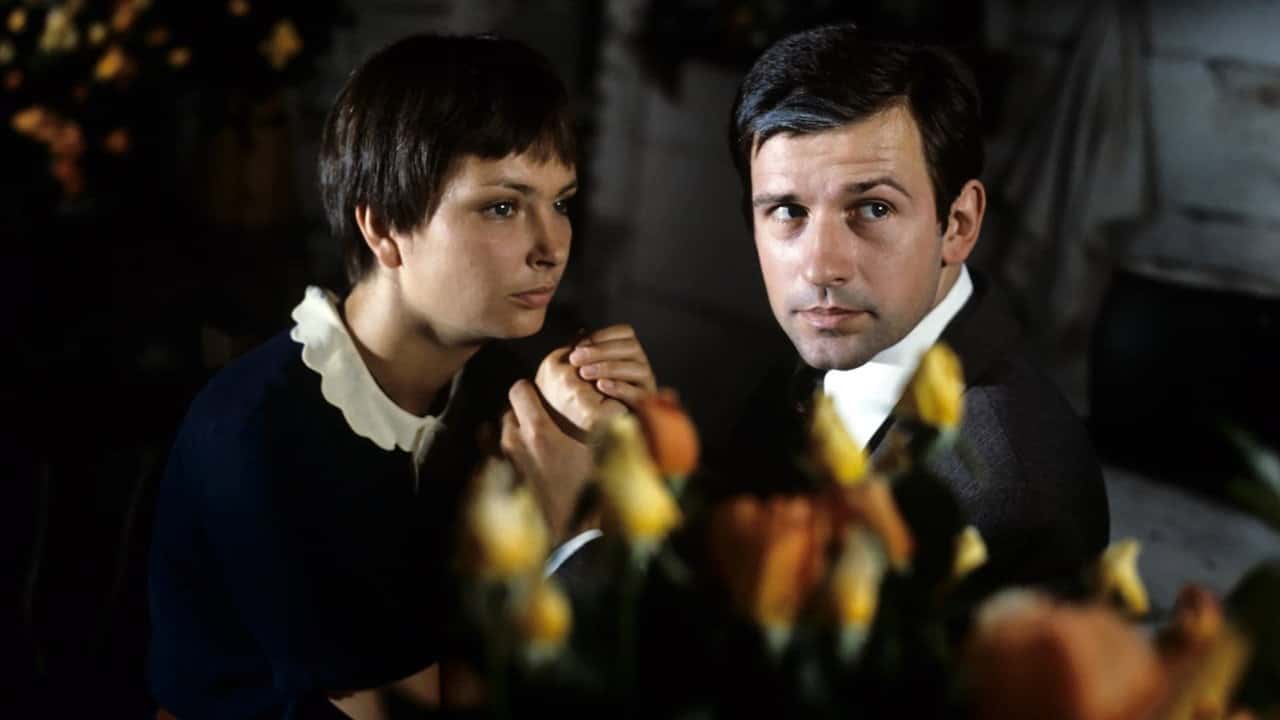 Кадр з фільму Знахар (1982)