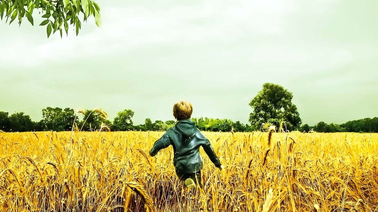 Кадр з фільму Світлячки в саду / Світлячки у саду (2008)
