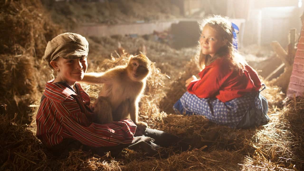 Кадр з фільму Мавп'ячі витівки (2015)