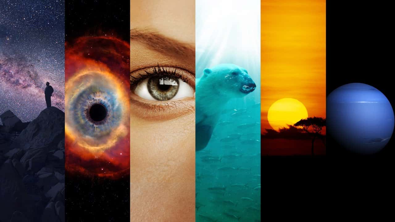 Кадр із серіалу Космос: подорож у просторі та часі (2014)