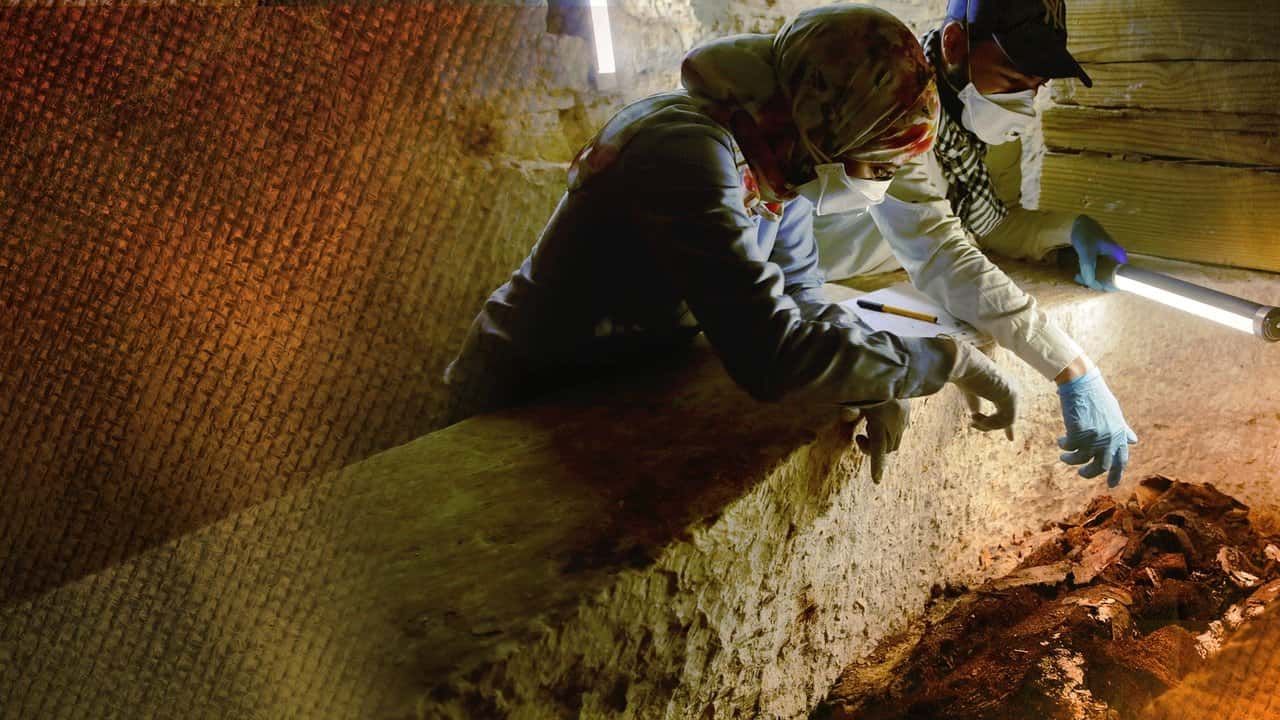 Кадр із серіалу Королівство мумій (2020)