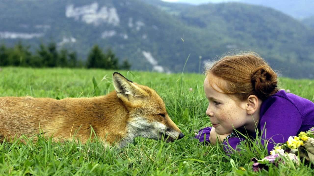 Кадр з фільму Лисиця й Дитина (2007)