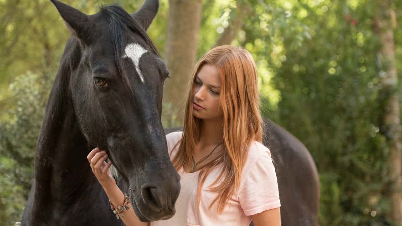 Кадр з фільму Східний вітер 3: Спадщина Ори (2017)