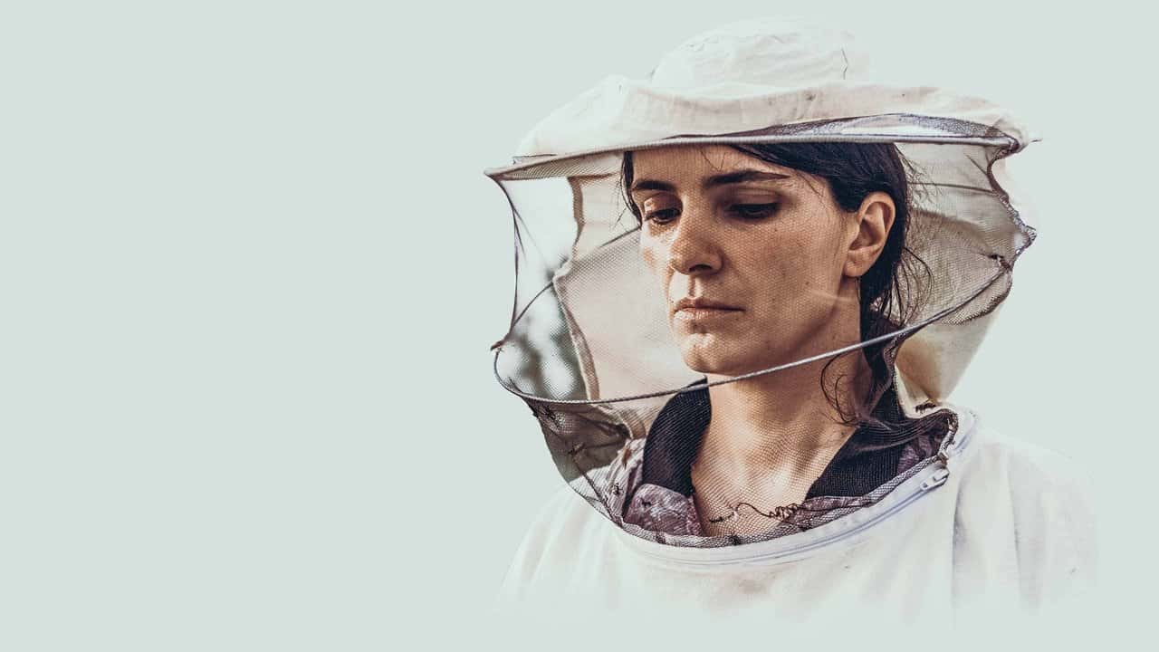 Кадр з фільму Вулик (2021)