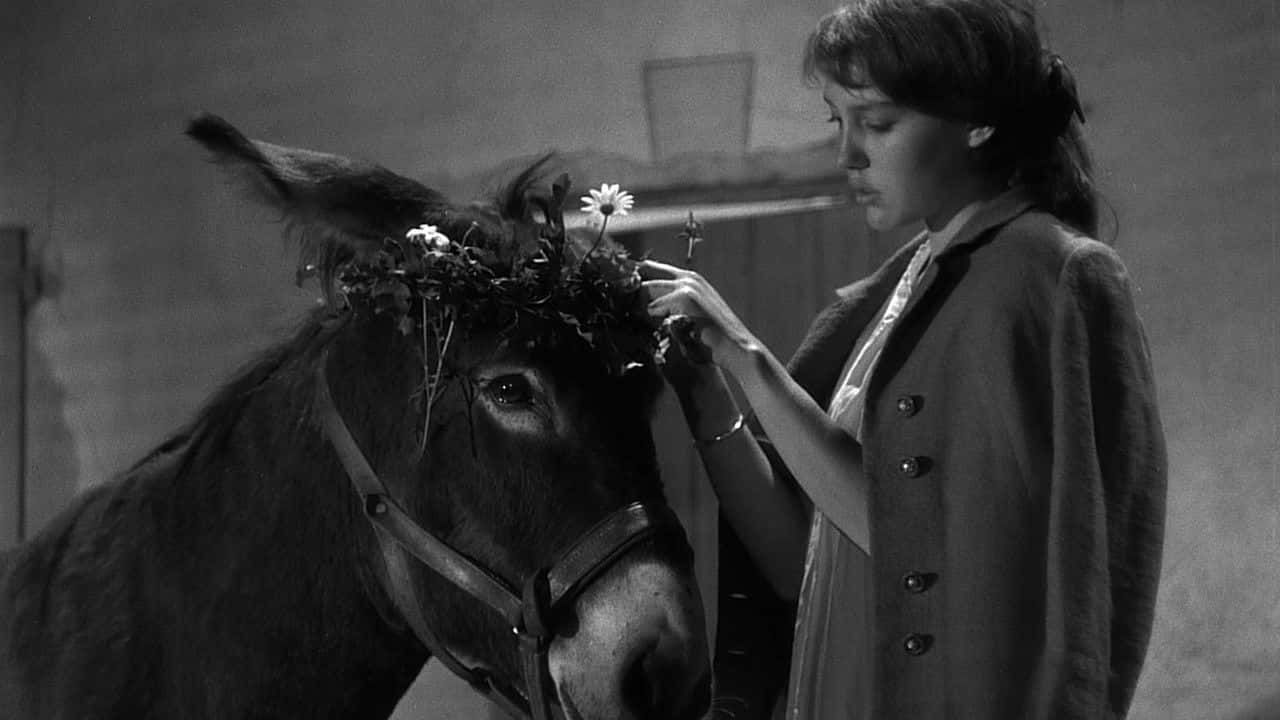 Кадр з фільму Таке життя, Бальтазар / Навмання, Бальтазаре (1966)