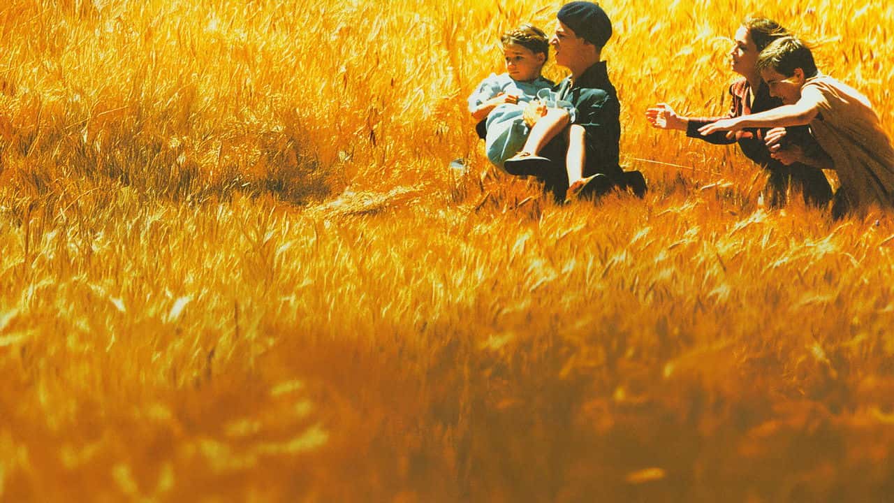 Кадр з фільму Заблудлі / Що заблукали (2003)