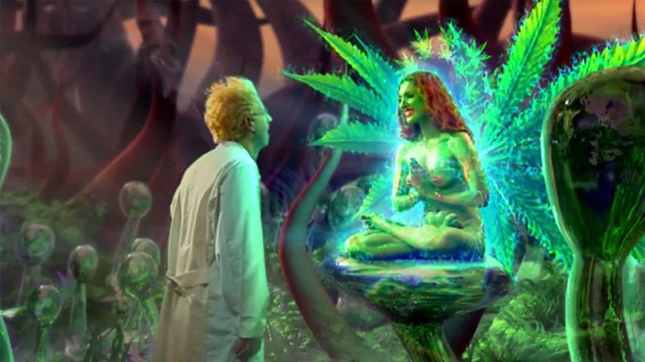 Кадр з фільму Зелена богиня (2021)