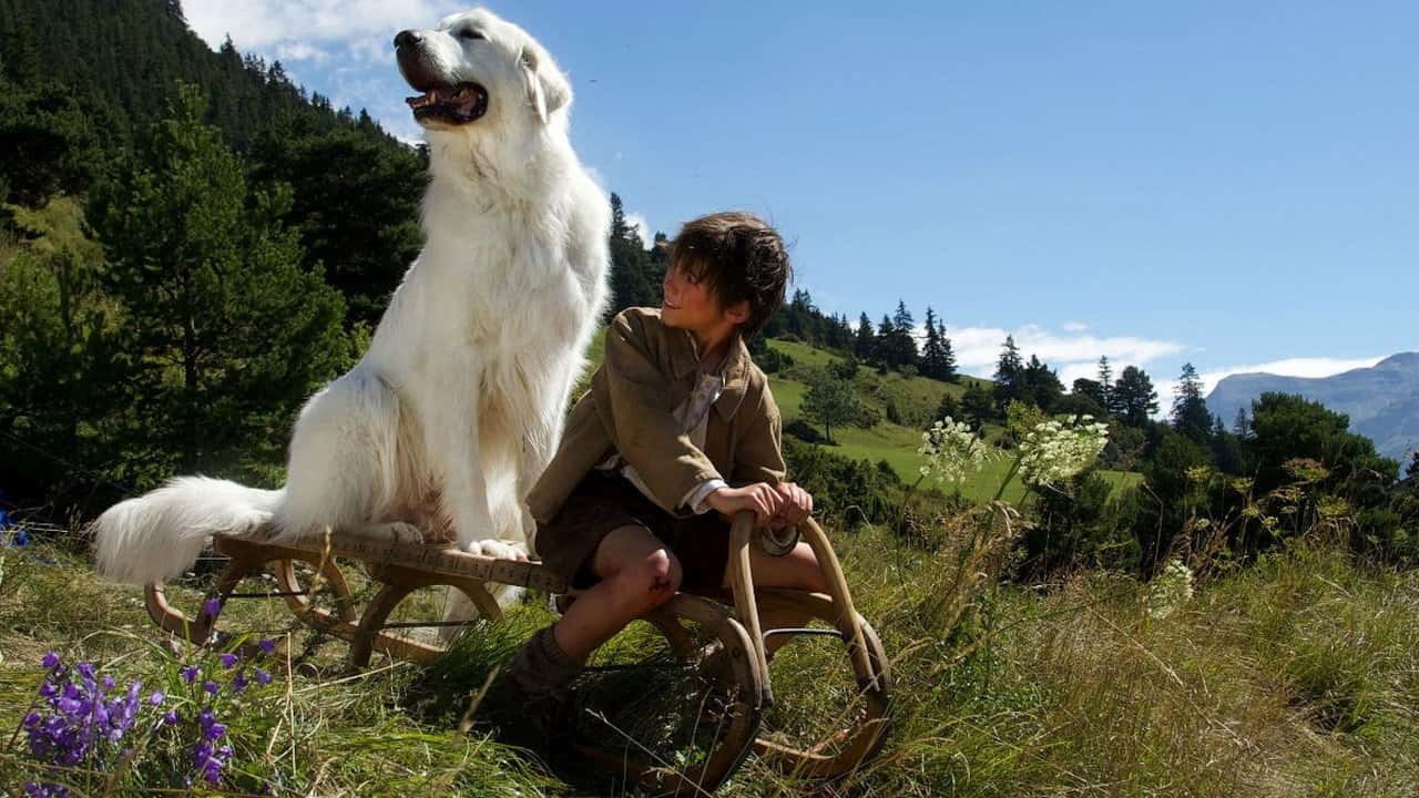 Кадр з фільму Белль і Себастьян, пригоди тривають (2015)